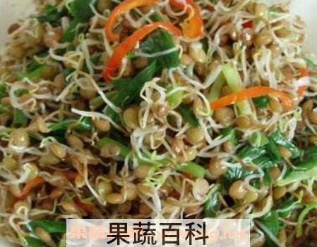 扁豆芽怎么吃