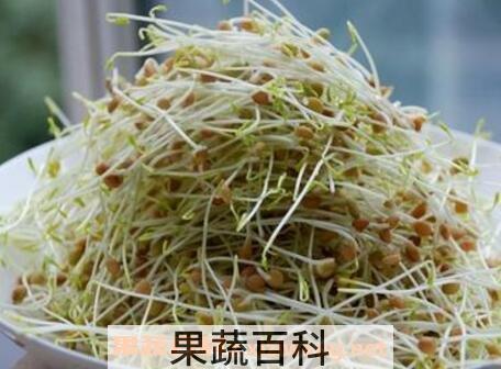 扁豆芽怎么吃