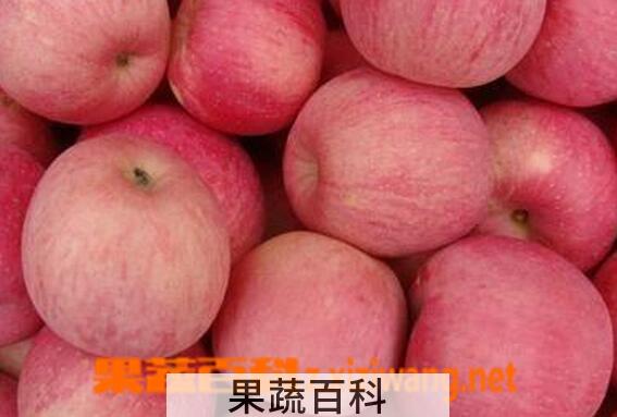 果蔬百科空腹吃苹果好吗