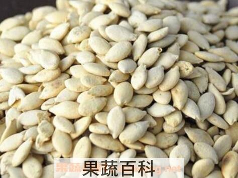 冬瓜子的功效与作用 冬瓜子怎么用美容