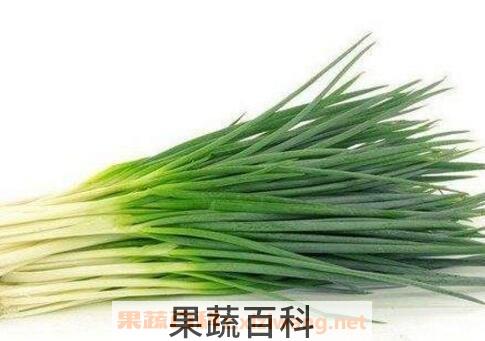绿葱叶怎样腌制