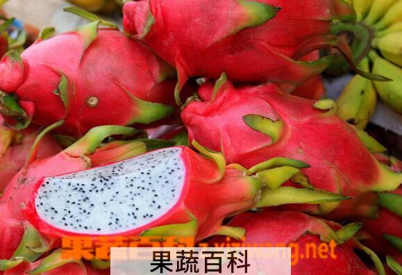 果蔬百科吃火龙果上火吗