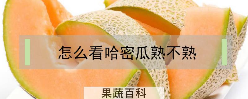 怎么看哈密瓜熟不熟