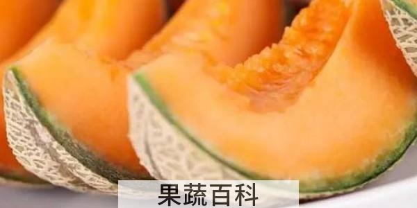 怎么看哈密瓜熟不熟
