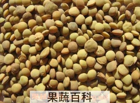 秋扁豆有毒吗 秋扁豆子怎么吃