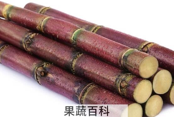 果蔬百科哪些人不能吃甘蔗