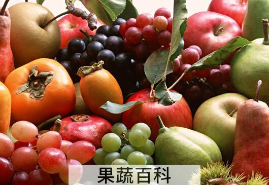 果蔬百科吃水果的禁忌