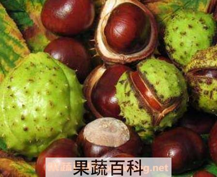 马栗红扁豆怎么吃