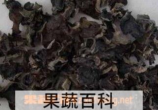 果蔬百科黑木耳