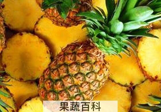 果蔬百科菠萝为什么要用盐水泡