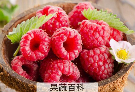 果蔬百科树莓的功效与作用