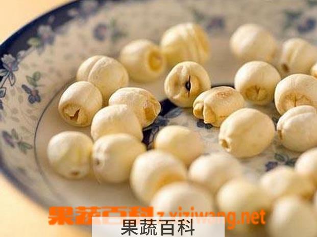 果蔬百科莲子的营养价值及食用方法介绍
