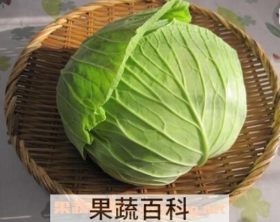 高丽菜的营养价值