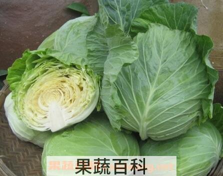 高丽菜的营养价值