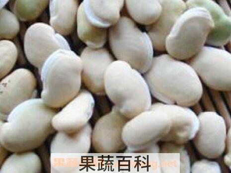 新鲜的白扁豆怎么吃