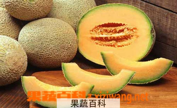 果蔬百科吃哈密瓜的坏处