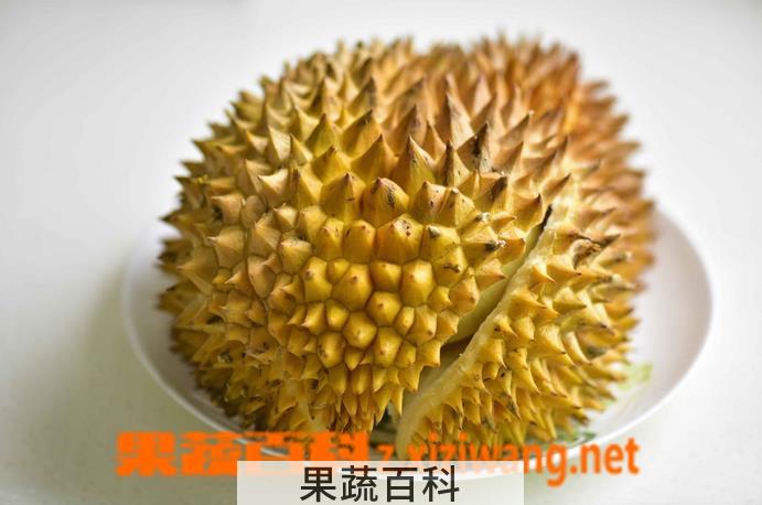 果蔬百科吃榴莲的坏处