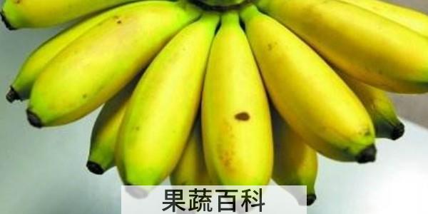香蕉和芭蕉的区别