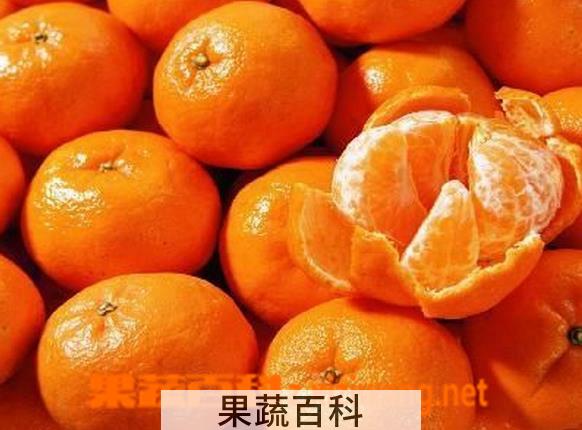 果蔬百科多吃桔子的危害有哪些