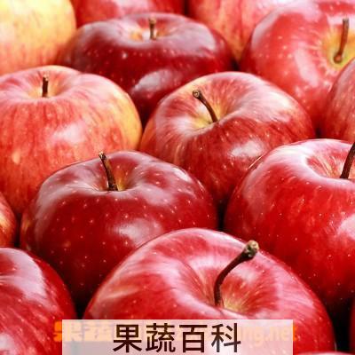果蔬百科吃苹果的好处和坏处