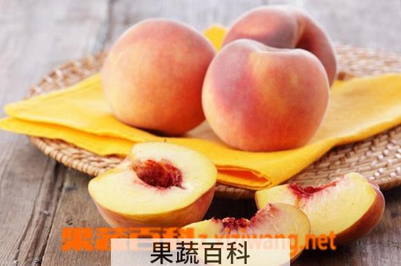 果蔬百科吃桃子的坏处
