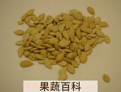 冬瓜仁的功效与作用