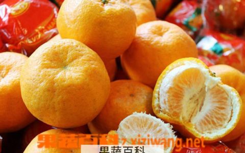 吃橘子坏处和好处 吃橘子的坏处 多吃橘子的危害有哪些呢