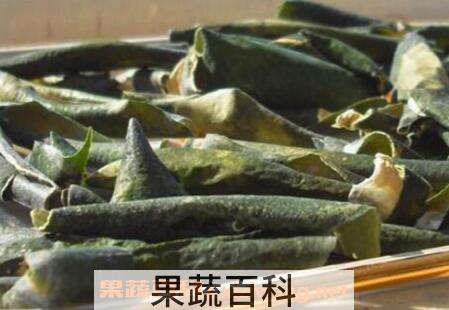 冬瓜皮的作用与功效