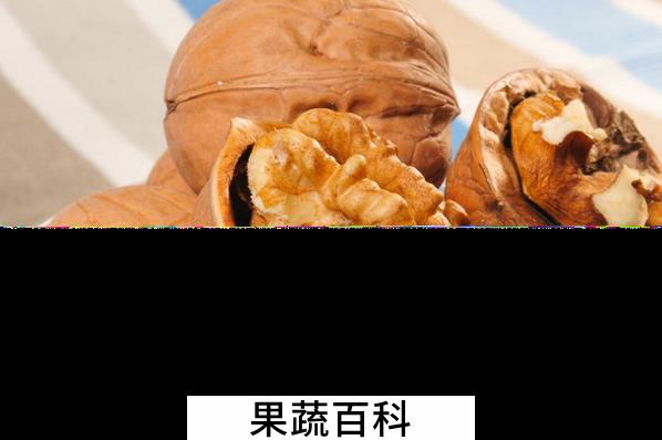 果蔬百科核桃的功效与作用