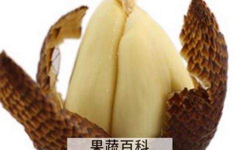 吃蛇皮果的禁忌 蛇皮果吃了有什么好处