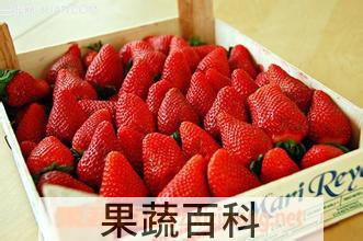 果蔬百科怎么识别草莓是激素打的