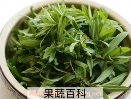 云星菜的营养价值