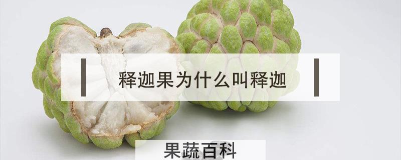 释迦果为什么叫释迦