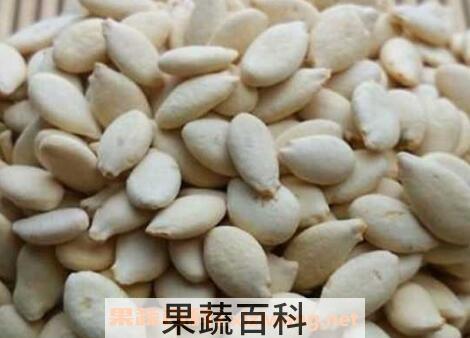 冬瓜子的功效作用与营养价值