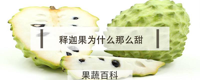 释迦果为什么那么甜