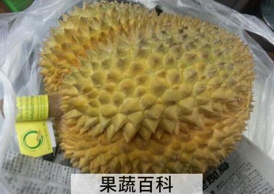果蔬百科榴莲的食用禁忌