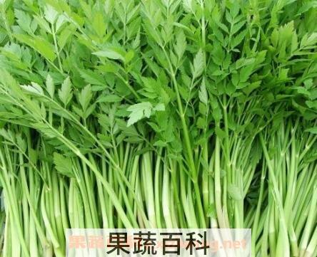 水芹菜的功效与作用及禁忌