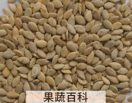 炒冬瓜子的做法与功效