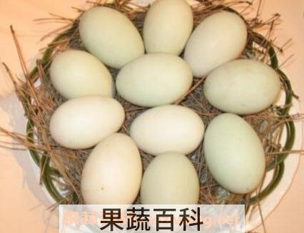 怎样腌制大雁蛋