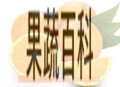 果蔬百科吃橙子的好处和坏处