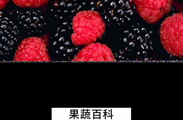 果蔬百科哪些水果能补肾