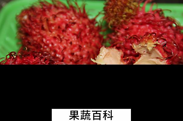 果蔬百科红毛丹怎么吃好