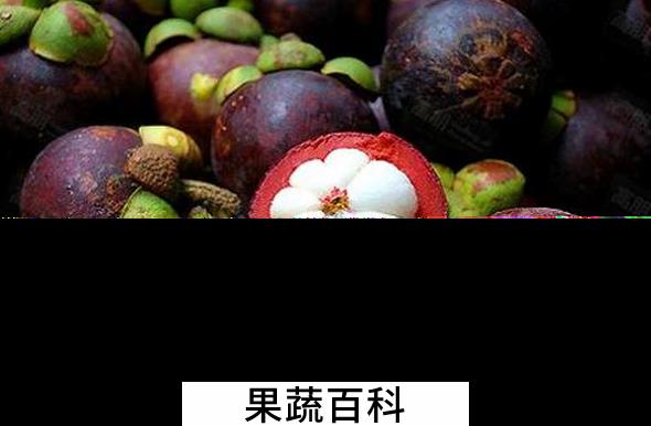 果蔬百科哪些人不能吃山竹