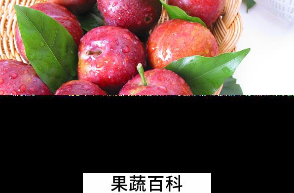 果蔬百科哪些水果老人不能吃