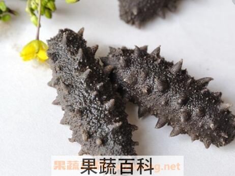 盐渍海参如何保存