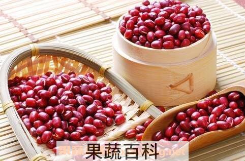 红豇豆的功效与作用