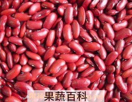 红豇豆的功效与作用