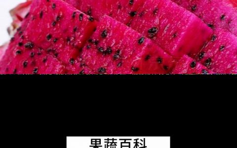 红心火龙果的营养和价值 红心火龙果的营养价值高吗