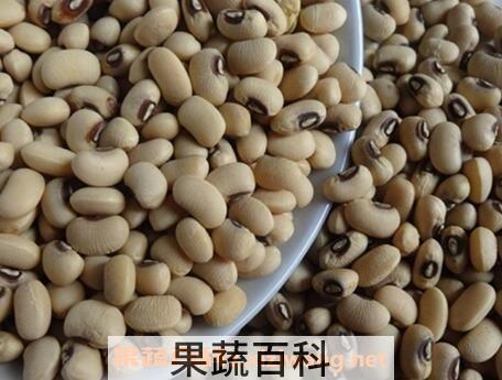 白豇豆的功效与作用