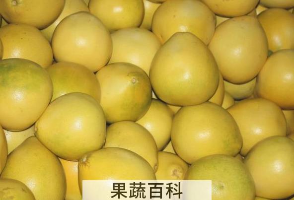 果蔬百科柚子的食疗功效